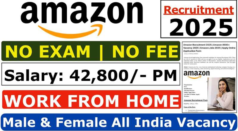 Amazon Investigation Associate WFH Job In 2025