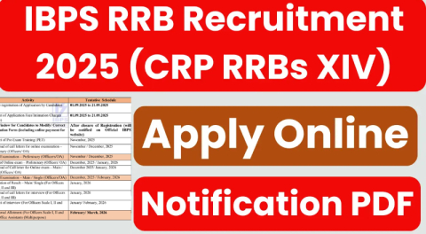 IBPS RRB Recruitment 2025